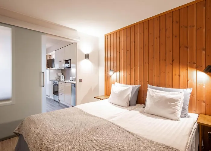 Ski-inn Rukavillage Appartement